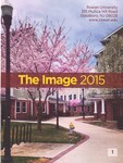 The Image 2015 by Rosemary Braude Esposito